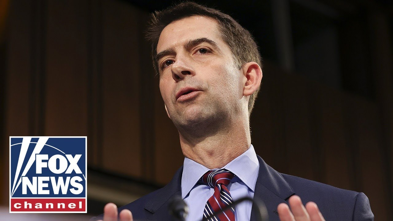 DNC chair rips Sen. Cotton: ‘Maggot-infested man’
